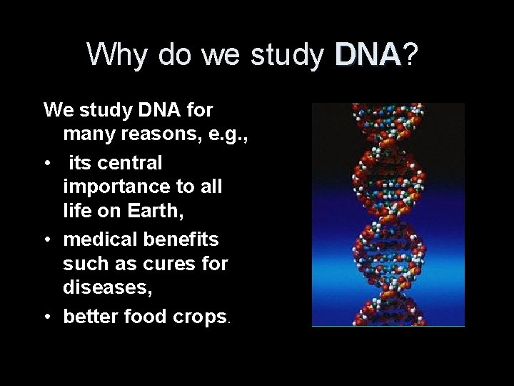 Why do we study DNA? DNA We study DNA for many reasons, e. g.