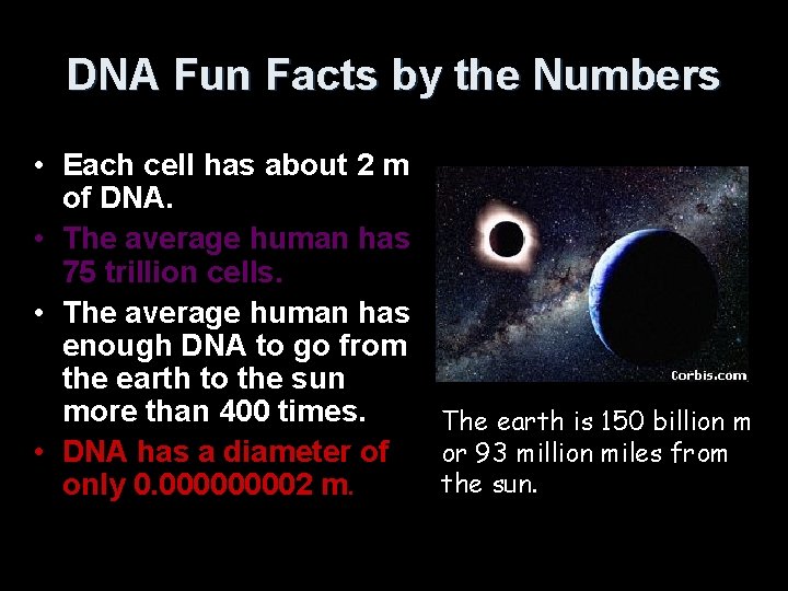 DNA Fun Facts by the Numbers • Each cell has about 2 m of