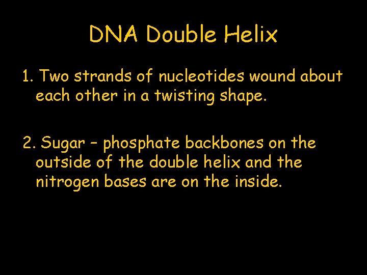 DNA Double Helix 1. Two strands of nucleotides wound about each other in a