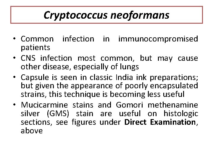 Cryptococcus neoformans • Common infection in immunocompromised patients • CNS infection most common, but