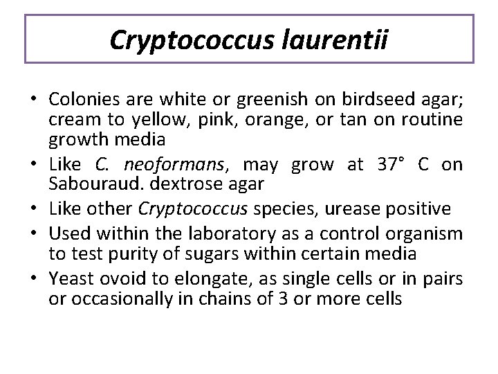 Cryptococcus laurentii • Colonies are white or greenish on birdseed agar; cream to yellow,