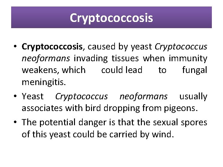Cryptococcosis • Cryptococcosis, caused by yeast Cryptococcus neoformans invading tissues when immunity weakens, which
