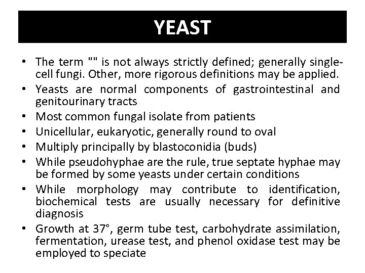 YEAST • The term "" is not always strictly defined; generally singlecell fungi. Other,