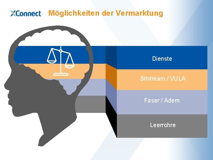 Möglichkeiten der Vermarktung Dienste Bitstream / VULA Faser / Adern Leerrohre 