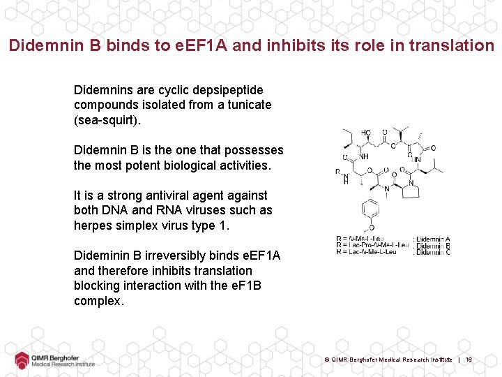 Didemnin B binds to e. EF 1 A and inhibits role in translation Didemnins