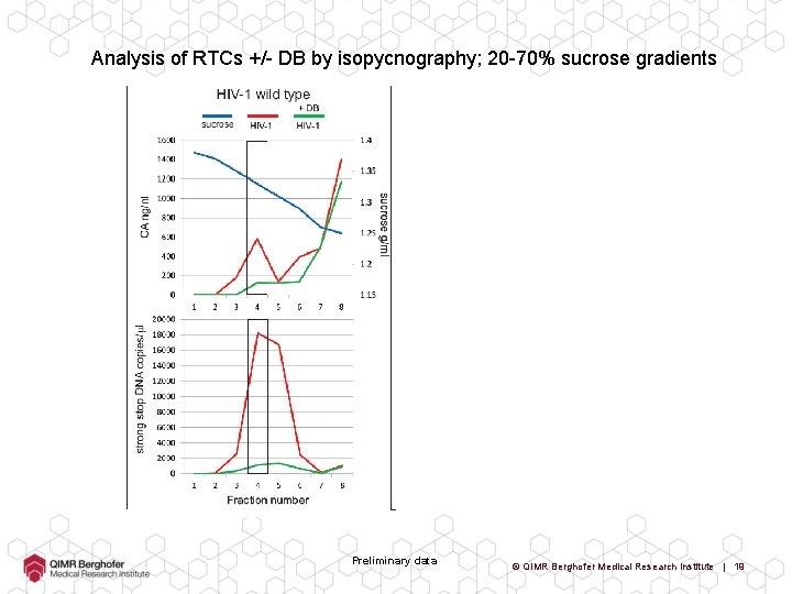 Analysis of RTCs +/- DB by isopycnography; 20 -70% sucrose gradients Preliminary data ©