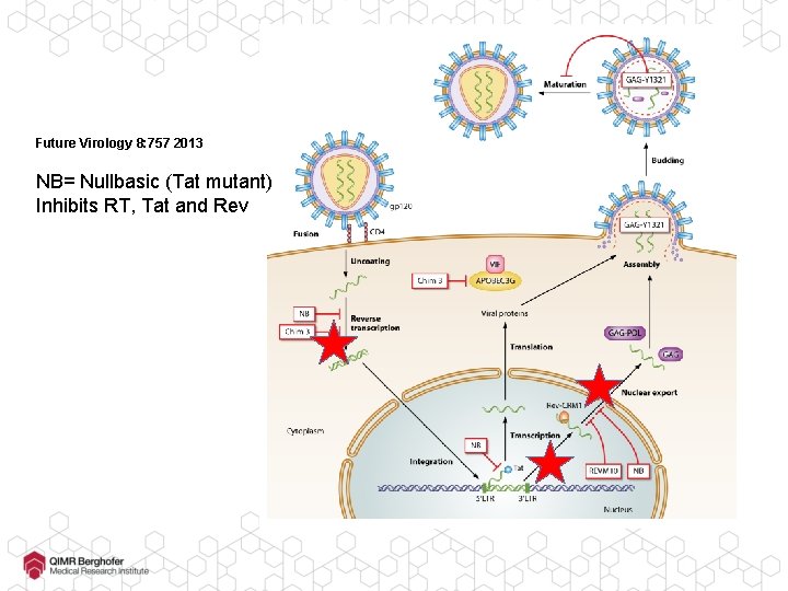 Future Virology 8: 757 2013 NB= Nullbasic (Tat mutant) Inhibits RT, Tat and Rev