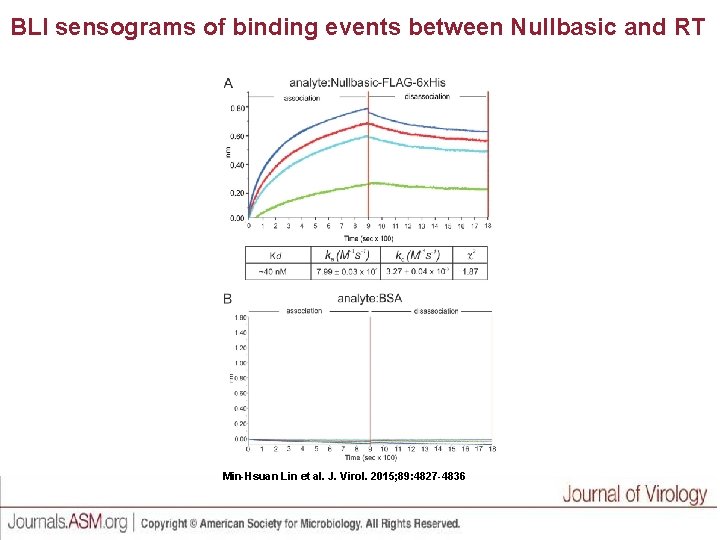 BLI sensograms of binding events between Nullbasic and RT Min-Hsuan Lin et al. J.