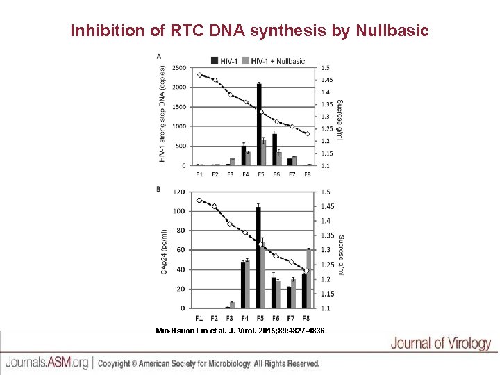 Inhibition of RTC DNA synthesis by Nullbasic Min-Hsuan Lin et al. J. Virol. 2015;