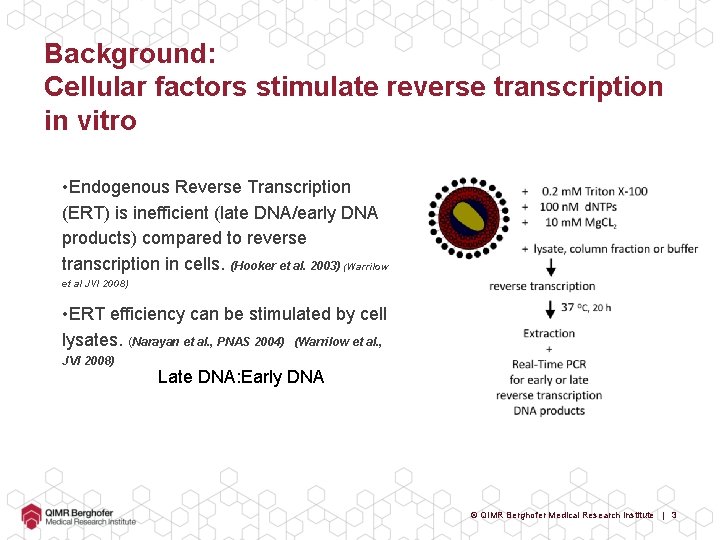 Background: Cellular factors stimulate reverse transcription in vitro • Endogenous Reverse Transcription (ERT) is