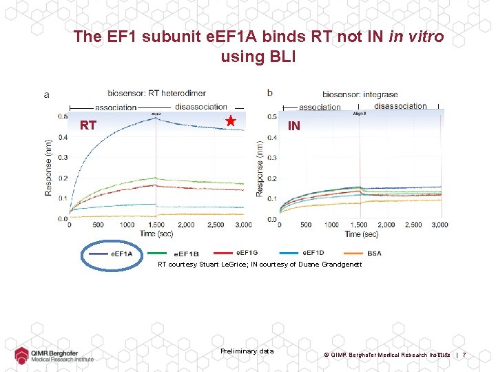 The EF 1 subunit e. EF 1 A binds RT not IN in vitro