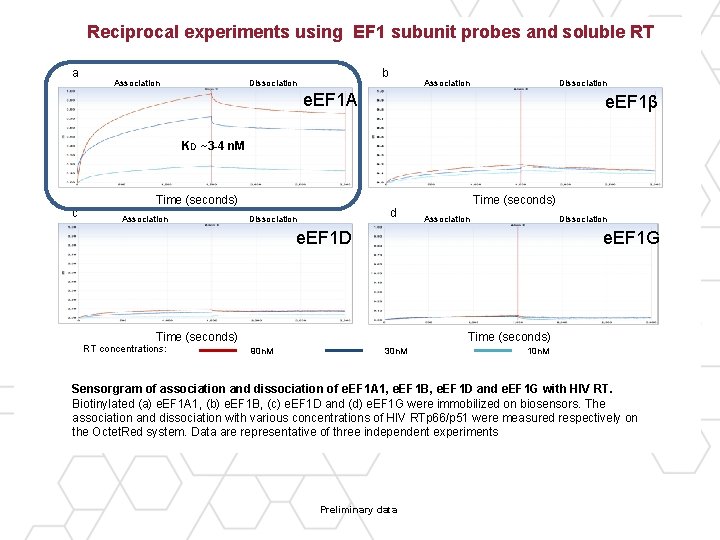 Reciprocal experiments using EF 1 subunit probes and soluble RT a Association b Dissociation