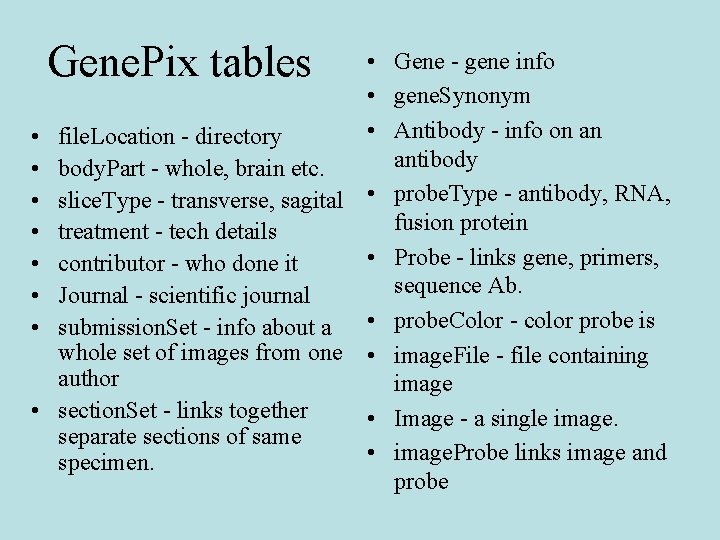 Gene. Pix tables • Gene - gene info • gene. Synonym • Antibody -