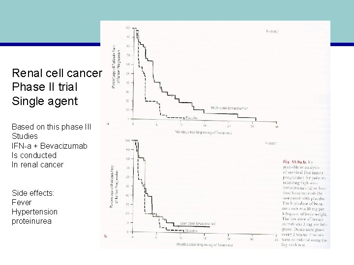 Renal cell cancer Phase II trial Single agent Based on this phase III Studies