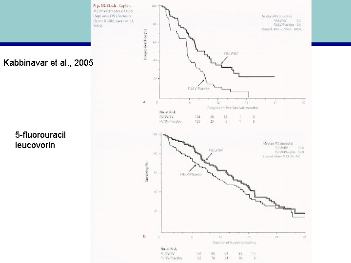 Kabbinavar et al. , 2005 5 -fluorouracil leucovorin 
