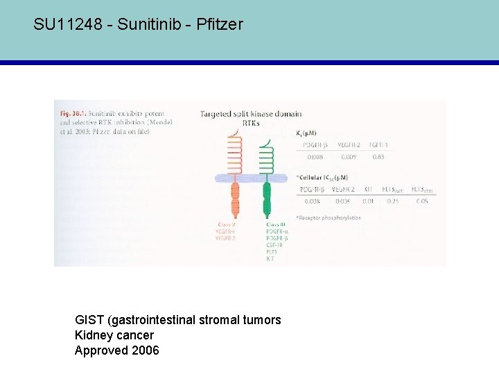 SU 11248 - Sunitinib - Pfitzer GIST (gastrointestinal stromal tumors Kidney cancer Approved 2006