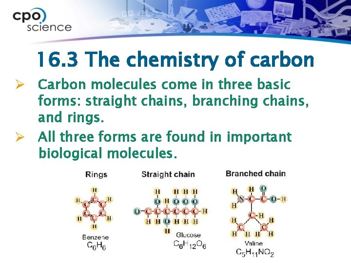 16. 3 The chemistry of carbon Ø Carbon molecules come in three basic forms: