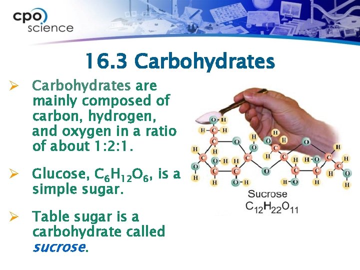 16. 3 Carbohydrates Ø Carbohydrates are mainly composed of carbon, hydrogen, and oxygen in