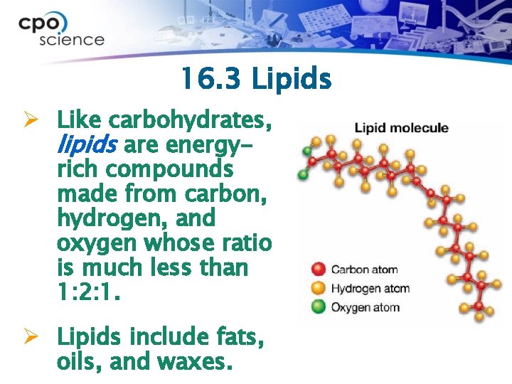 16. 3 Lipids Ø Like carbohydrates, lipids are energyrich compounds made from carbon, hydrogen,