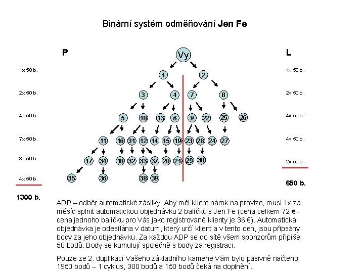 Binární systém odměňování Jen Fe P 1 x 50 b. 1 2 x 50