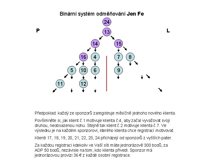 Binární systém odměňování Jen Fe 24 23 22 21 20 19 18 17 P