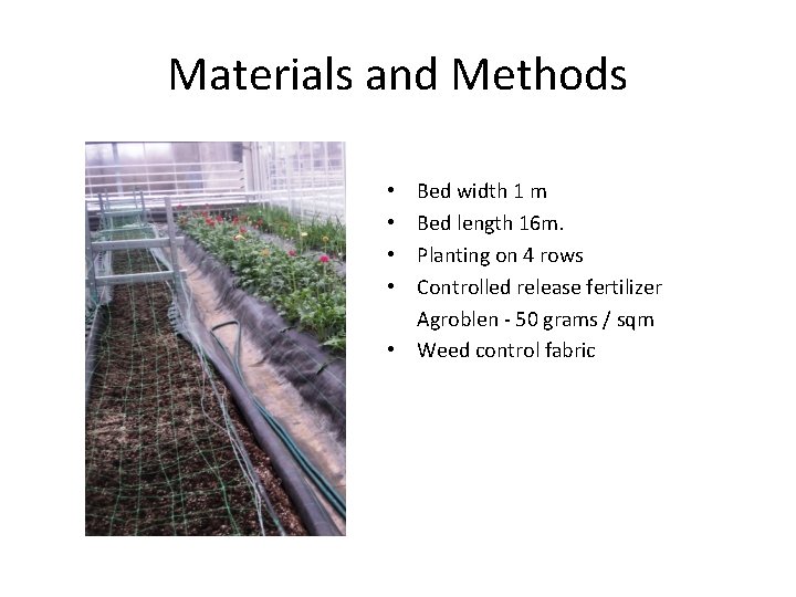 Materials and Methods Bed width 1 m Bed length 16 m. Planting on 4