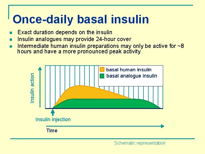 Once-daily basal insulin n n Exact duration depends on the insulin Insulin analogues may