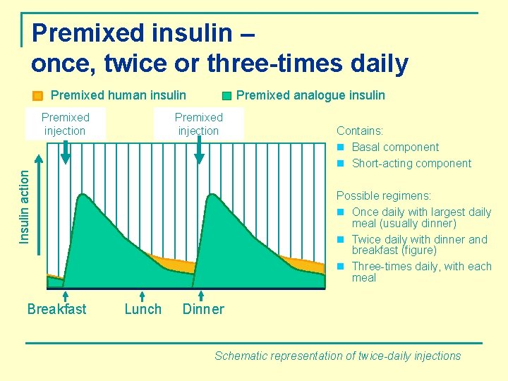 Premixed insulin – once, twice or three-times daily Premixed human insulin Premixed injection Insulin