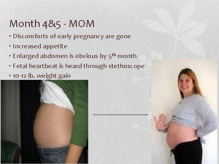 Month 4&5 - MOM • Discomforts of early pregnancy are gone • Increased appetite