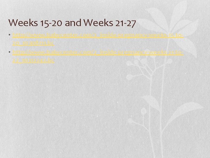 Weeks 15 -20 and Weeks 21 -27 • http: //www. babycenter. com/2_inside-pregnancy-weeks-15 -to 20_10308111.