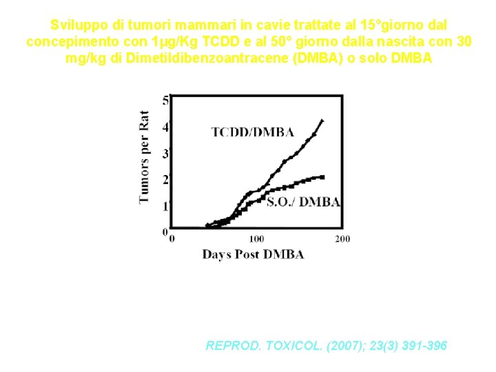 Sviluppo di tumori mammari in cavie trattate al 15°giorno dal concepimento con 1µg/Kg TCDD