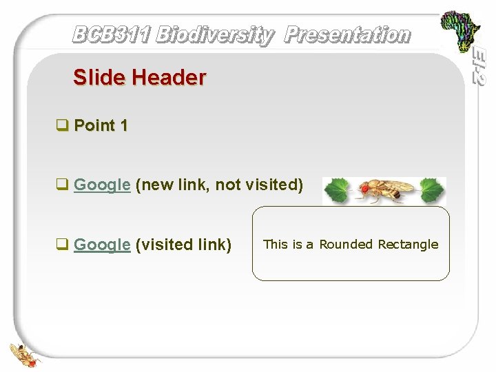 Slide Header q Point 1 q Google (new link, not visited) q Google (visited