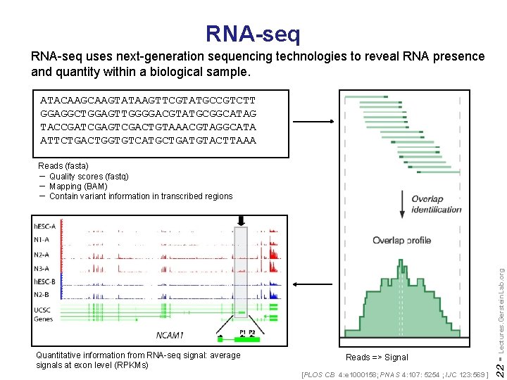 RNA-seq uses next-generation sequencing technologies to reveal RNA presence and quantity within a biological