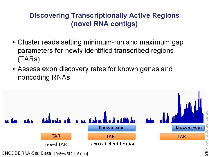 Discovering Transcriptionally Active Regions (novel RNA contigs) TAR novel TAR ENCODE RNA-Seq Data [Nature