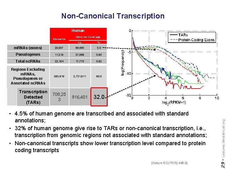 Non-Canonical Transcription Human Kb % m. RNAs (exons) 20, 007 86, 560 3. 0