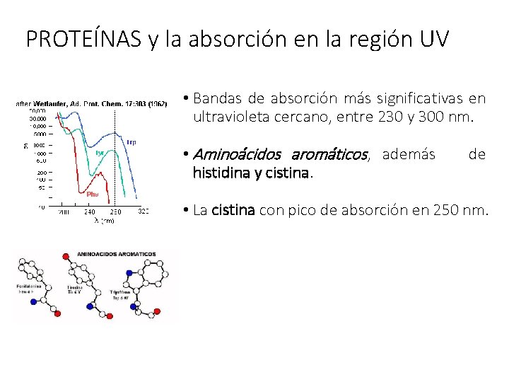 PROTEÍNAS y la absorción en la región UV • Bandas de absorción más significativas