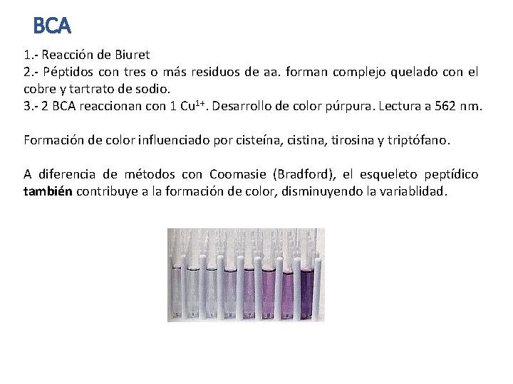 BCA 1. - Reacción de Biuret 2. - Péptidos con tres o más residuos