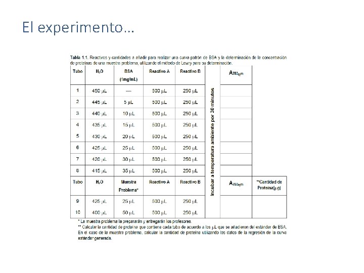 El experimento… 