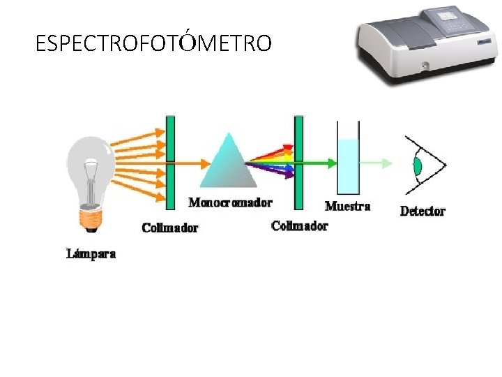 ESPECTROFOTÓMETRO 