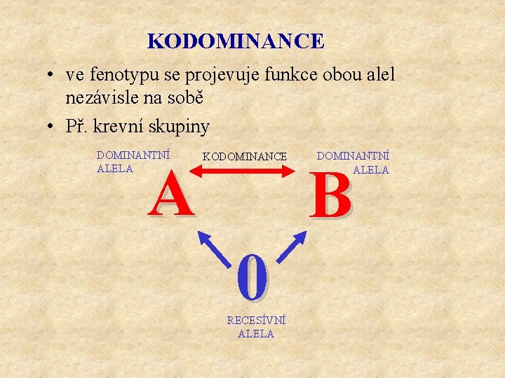 KODOMINANCE • ve fenotypu se projevuje funkce obou alel nezávisle na sobě • Př.