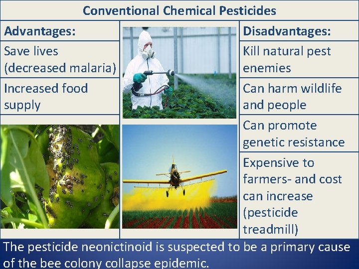 Conventional Chemical Pesticides Advantages: Disadvantages: Save lives Kill natural pest (decreased malaria) enemies Increased