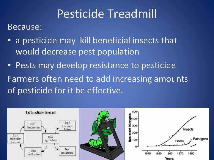 Pesticide Treadmill Because: • a pesticide may kill beneficial insects that would decrease pest