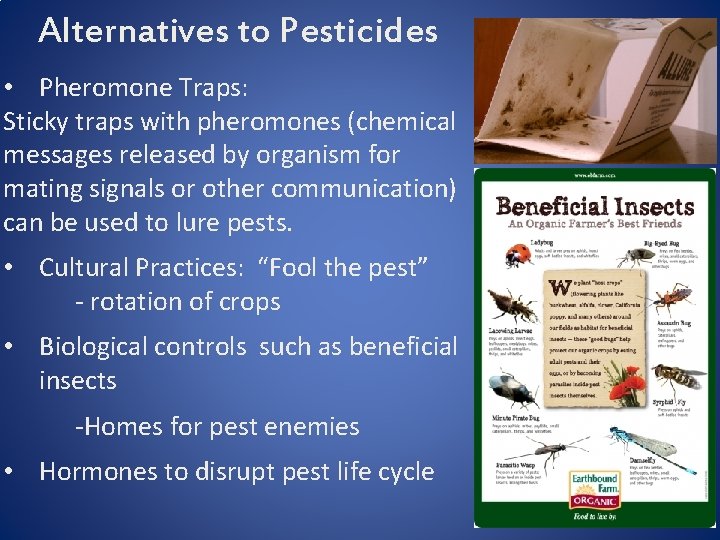 Alternatives to Pesticides • Pheromone Traps: Sticky traps with pheromones (chemical messages released by