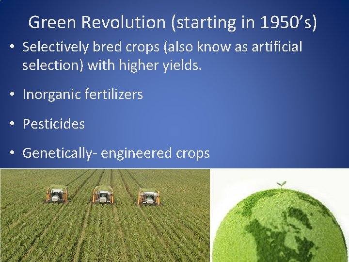 Green Revolution (starting in 1950’s) • Selectively bred crops (also know as artificial selection)