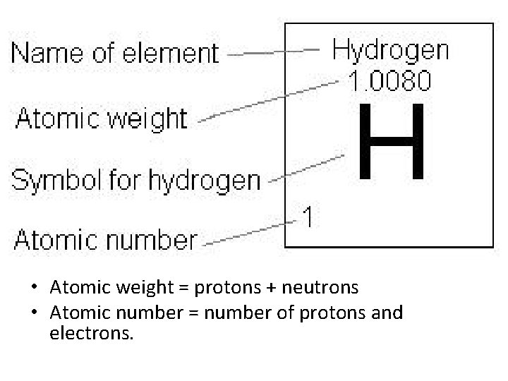 • Atomic weight = protons + neutrons • Atomic number = number of • Atomic weight = protons + neutrons • Atomic number = number of
