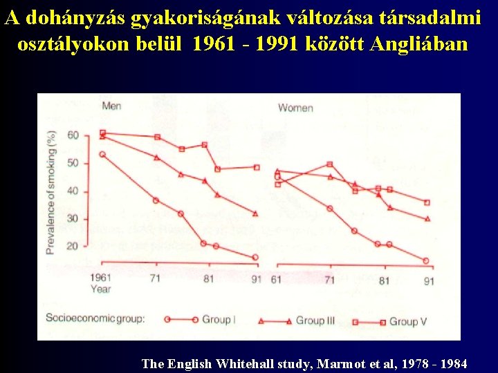 A dohányzás gyakoriságának változása társadalmi osztályokon belül 1961 - 1991 között Angliában The English