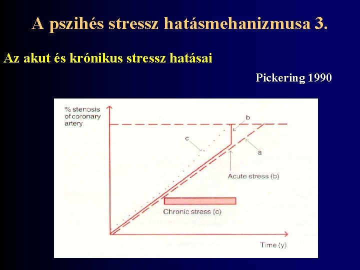 A pszihés stressz hatásmehanizmusa 3. Az akut és krónikus stressz hatásai Pickering 1990 