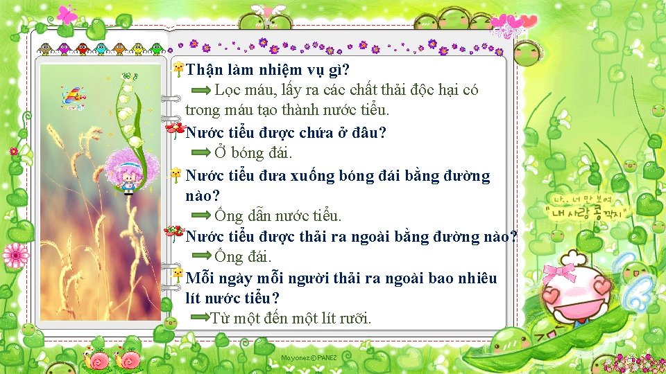 Thận làm nhiệm vụ gì? Lọc máu, lấy ra các chất thải độc hại