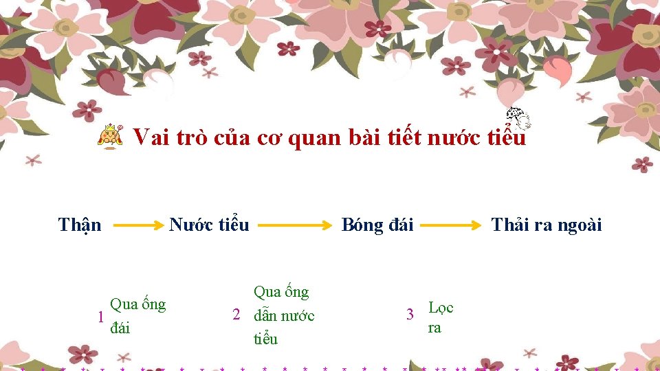 Vai trò của cơ quan bài tiết nước tiểu Thận Qua ống 1 đái