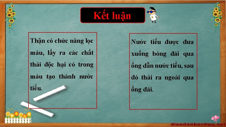 Kết luận Thận có chức năng lọc Nước tiểu được đưa máu, lấy ra